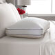 Organic Cotton SuperLoft Pillow - lifestyle