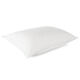 Hotel Touch of Down PIllow - silo 2