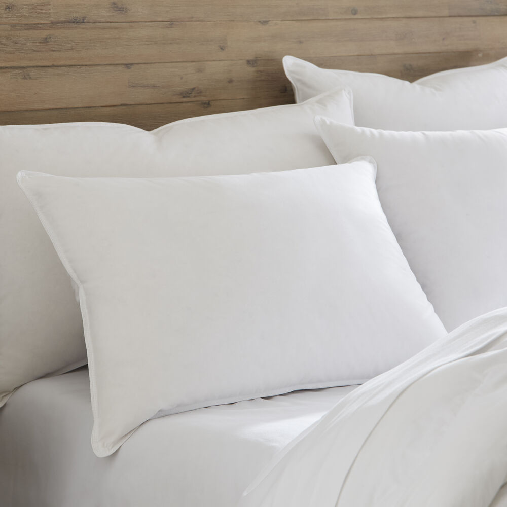 https://www.pacificcoast.com/dw/image/v2/AAUB_PRD/on/demandware.static/-/Sites-pcf-master-catalog/default/dw8be4443e/images/Pillows/73440/new-nov23/HotelCollection-DownAroundPillow-Plain.jpg?sw=1000&sh=1000&sm=fit