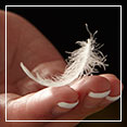 Unlike ordinary feathers, our Resilia™ feathers Stay Fluffy Longer™ providing you with outstanding resilience and support
