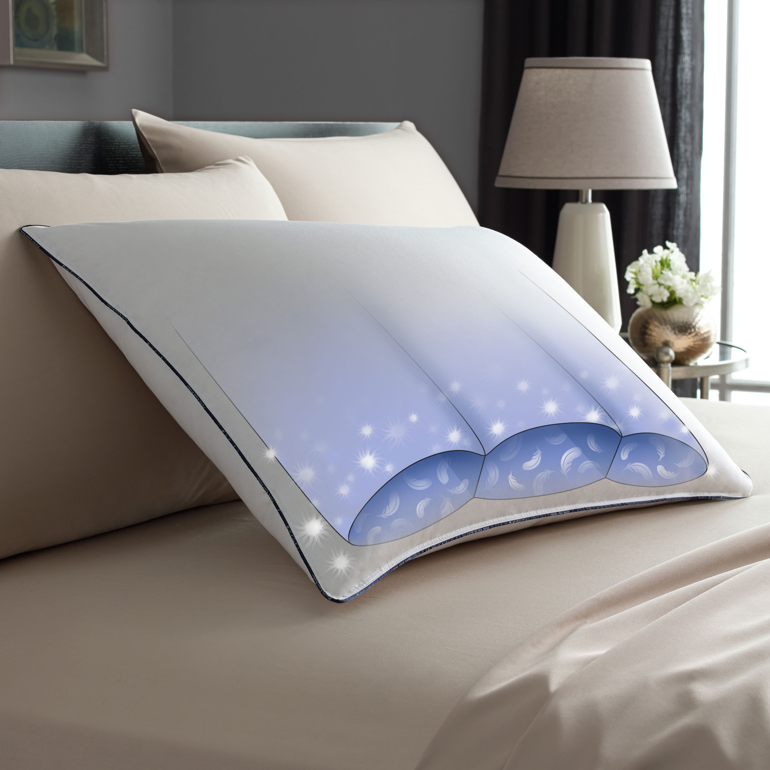 UPC 025521220959 product image for Queen Side by Side Firm Pillow - Pacific Coast Bedding | upcitemdb.com