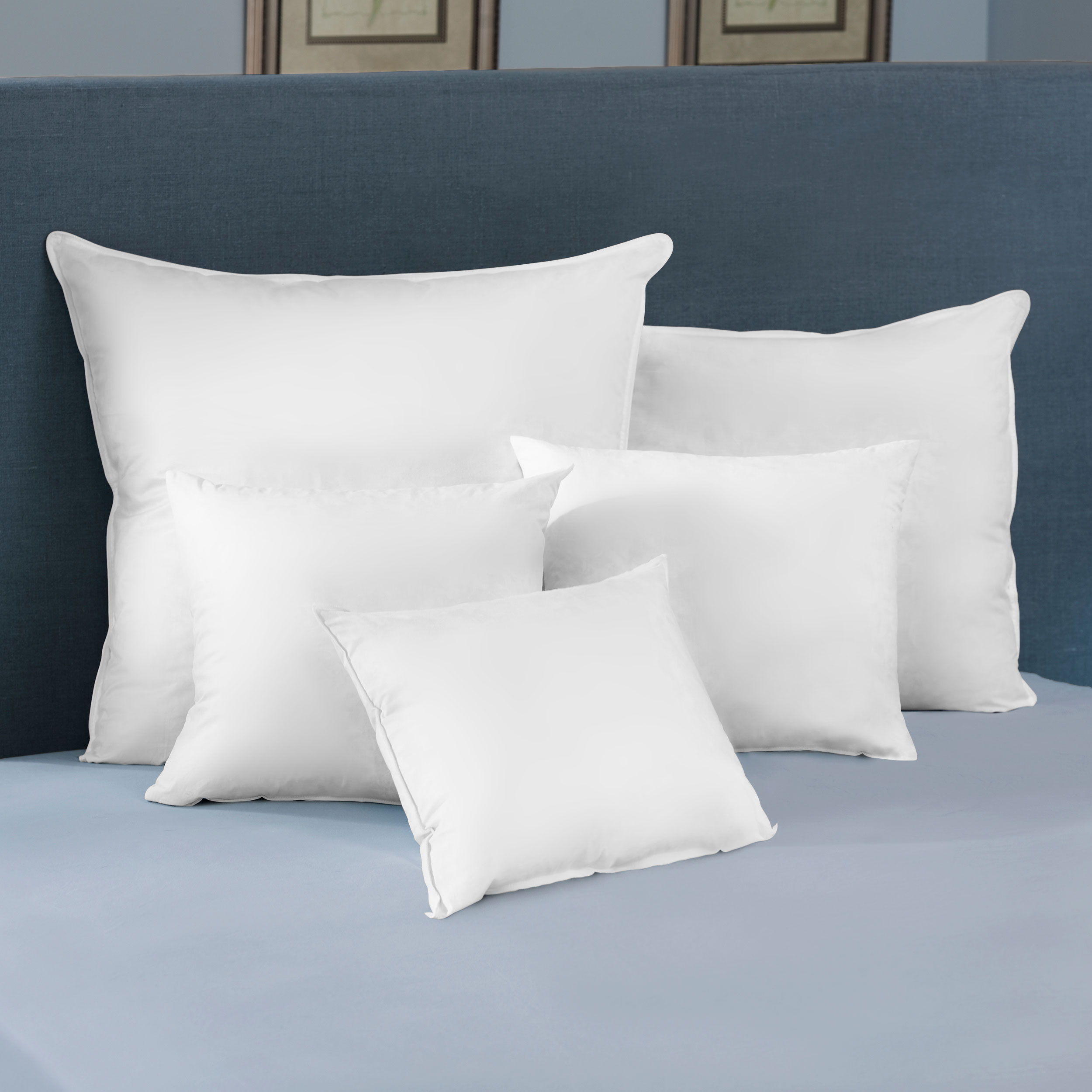 Pacific Coast Euro Square Pillow Insert 230 Thread Count 100% Cotton Down Proof Fabric Resilia Feathers - 22" X 22"